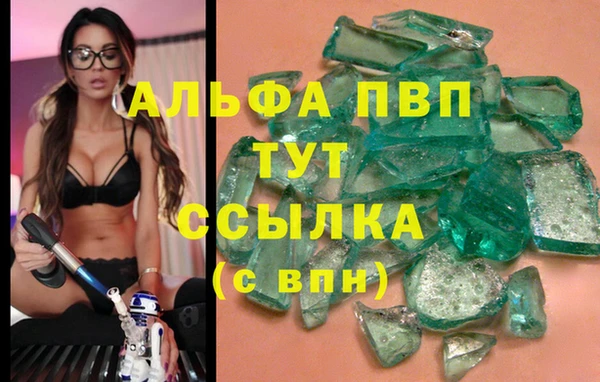 гидра Арсеньев