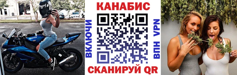 где продают наркотики  Зерноград  блэк спрут ССЫЛКА  Бошки марихуана планчик 