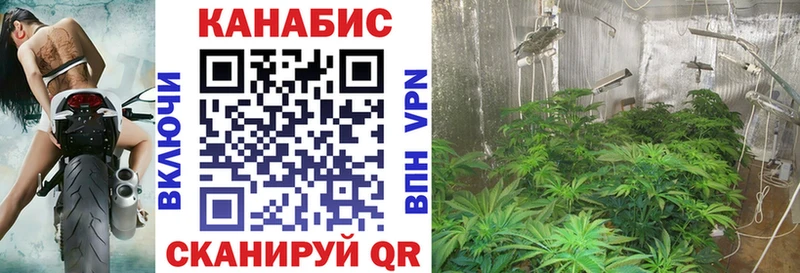 Бошки Шишки MAZAR Зерноград